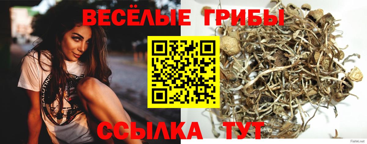 Галлюциногенные грибы прущие грибы Новодвинск